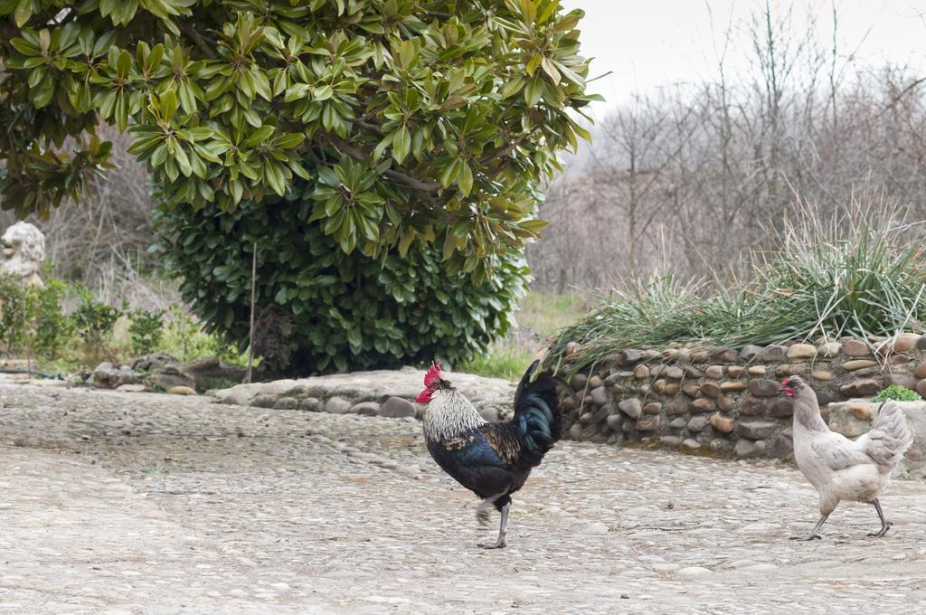 Molino De Villacelama Dış mekan fotoğraf