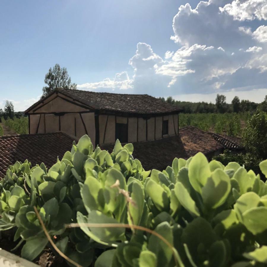 Molino De Villacelama Dış mekan fotoğraf